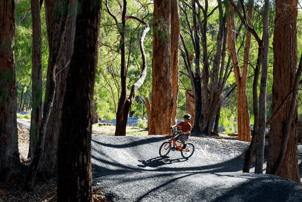 Bike tracks at RAC Karri Valley