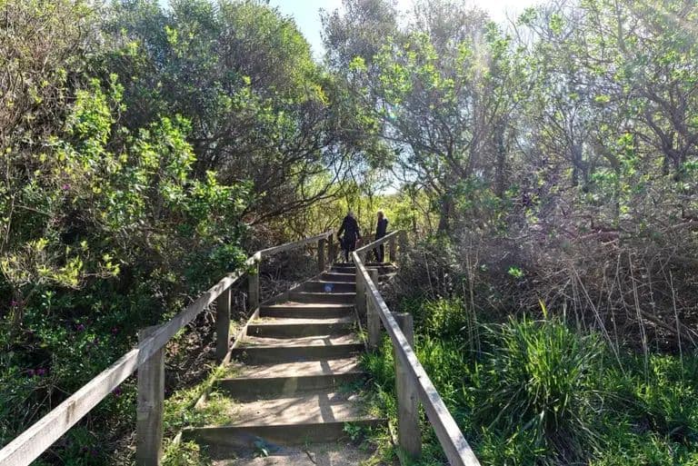 Ingenia Holidays Cape Paterson Natural Bush Setting