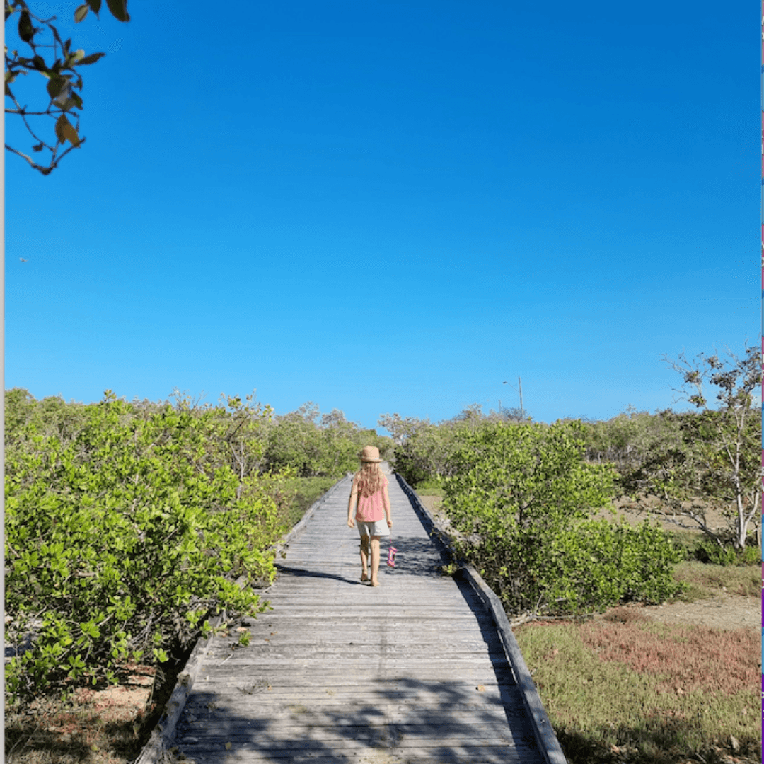 Boardwalk