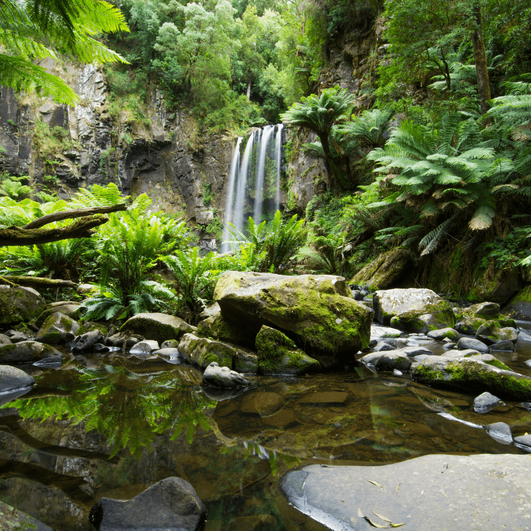 BIG4 Apollo Bay Hopetoun Falls