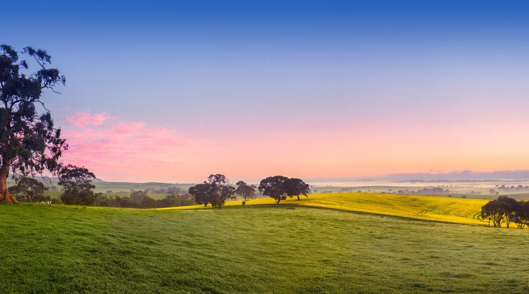 Clare Valley