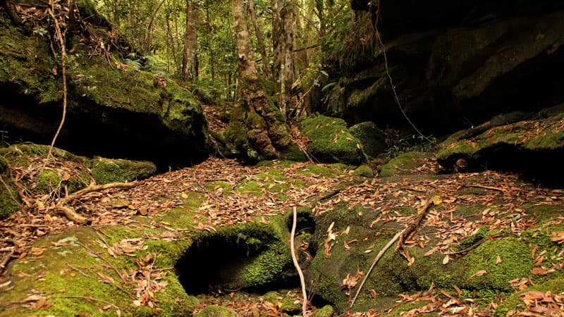 Bundanoon Amphitheatre Walk