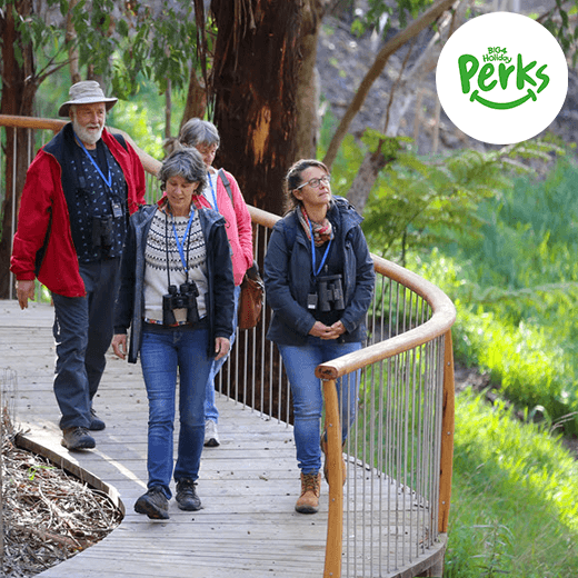 Perks+ Apollo Bay Wildlife Wonders