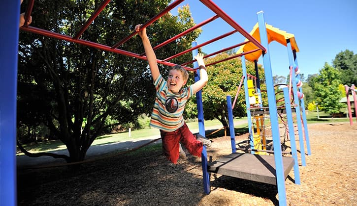 725X420 NRMA Bright Childrens Playground