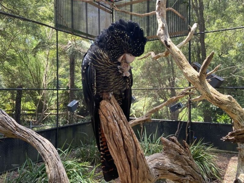 Road trip through Healesville to Eildon