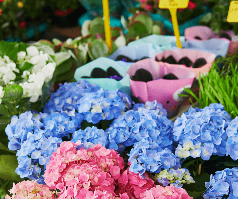 Farmers Markets Flowers