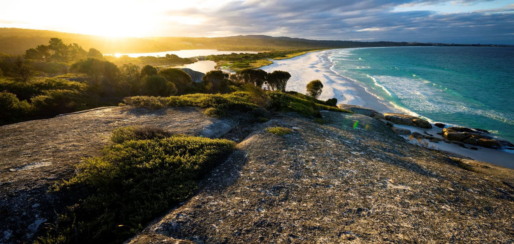 Hero Tassie1