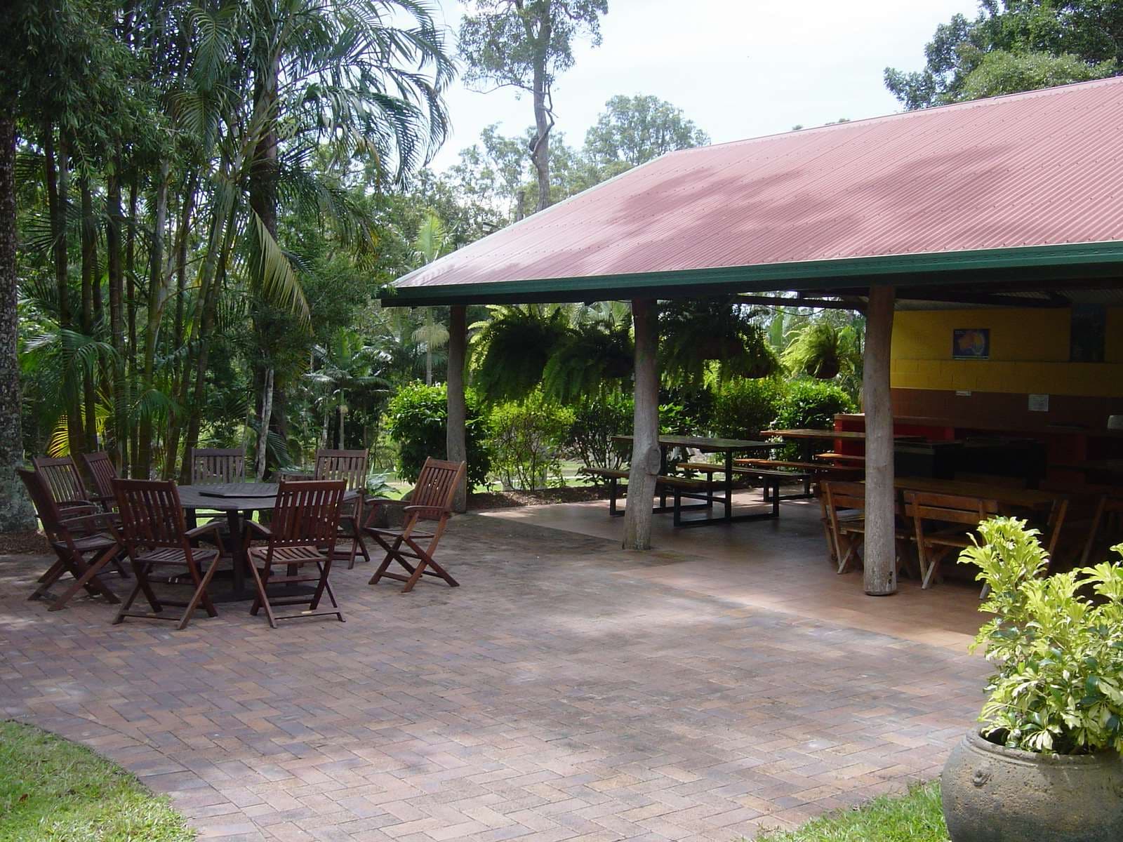 Camp Kitchen