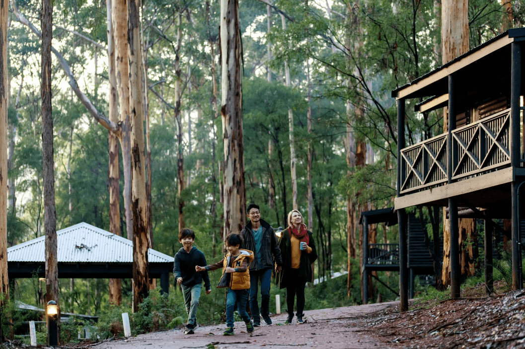 Cabins amongst the forest at RAC Karri Valley