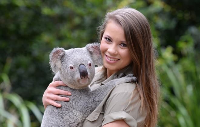 Australiazoo Koala