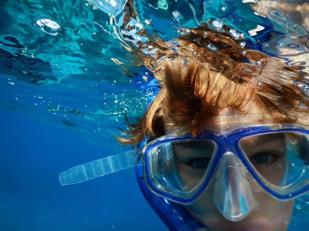 Snorkelling Swimming