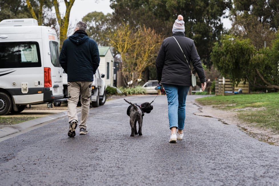 Teo people walking a dog
