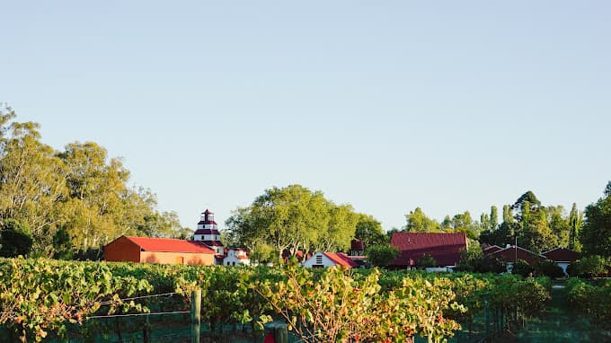 chateau tahbilk.jpg