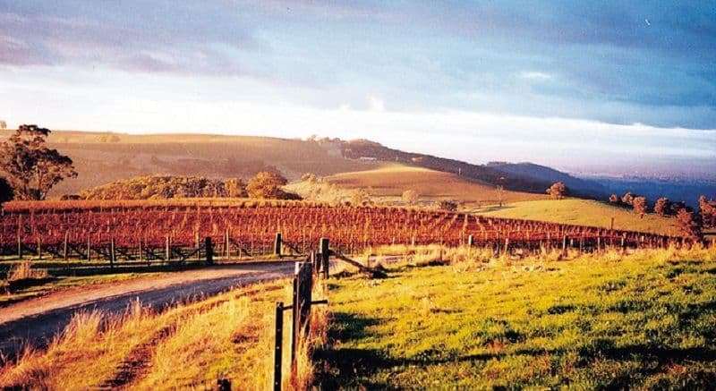 King Valley
