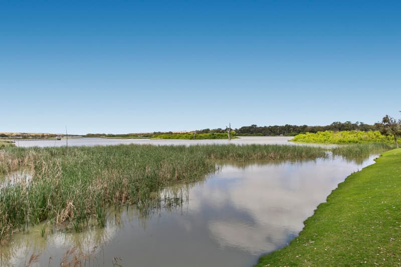 Bird sanctuary and lagoon