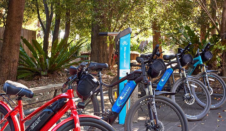 Bikehire (1)
