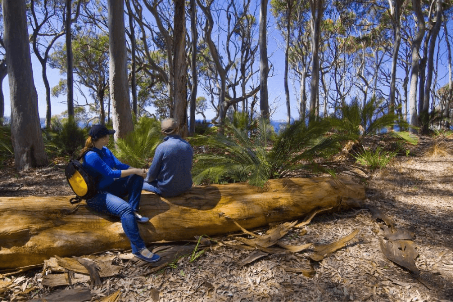 BIG4 Moruya National Parks