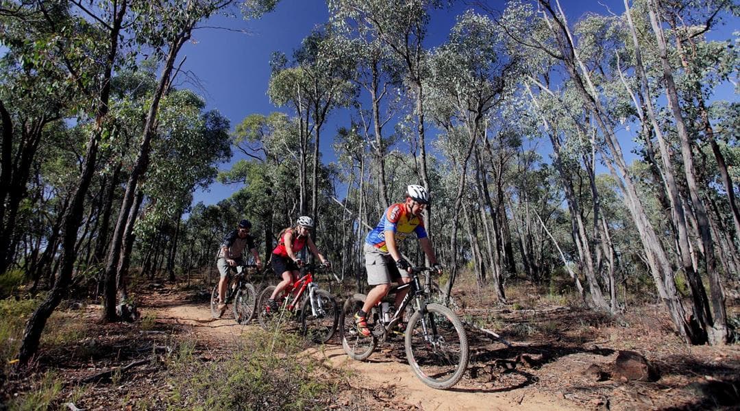 Cycling Image
