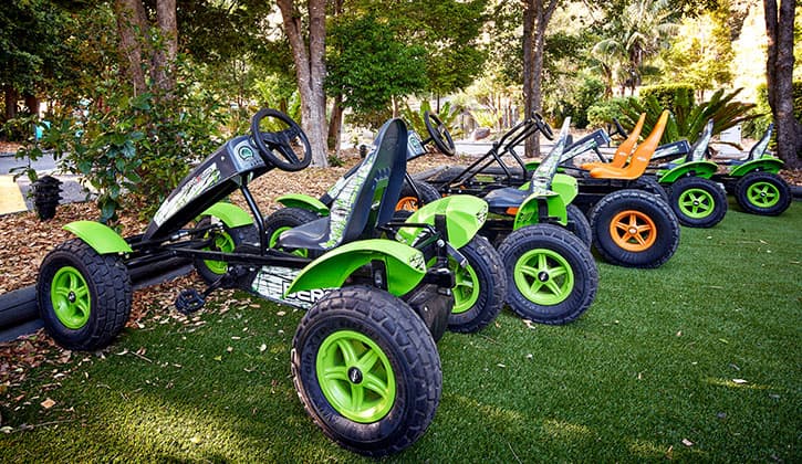 Pedalkarts