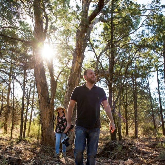 Rawnsley Park Station | Wilpena Pound Caravan Park - BIG4