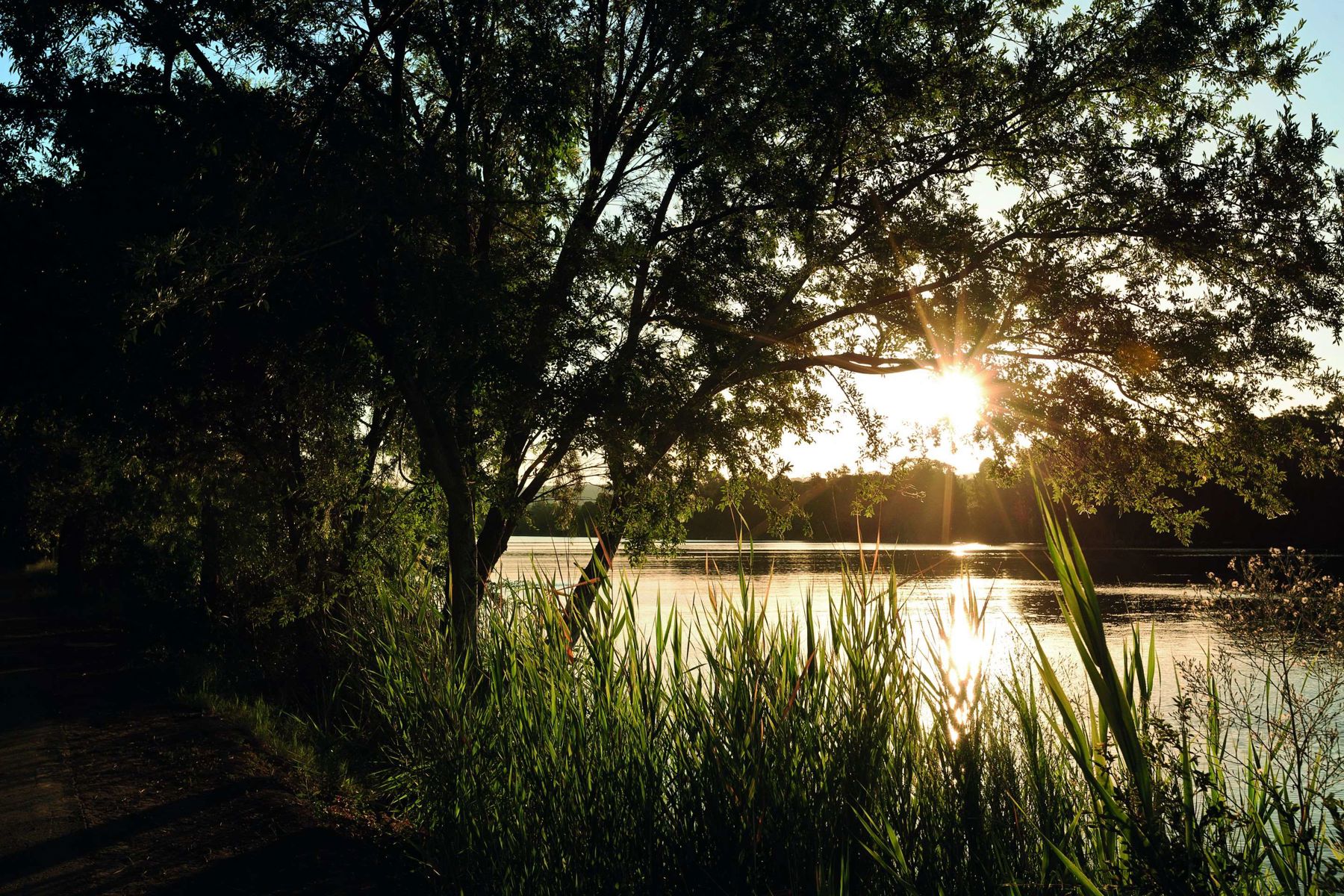 Nepean River (3)